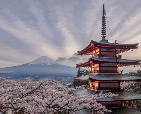 Mont Fuji au printemps avec ses cerisiers