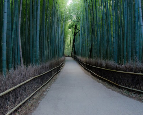 Bambouseraie d'arashiyama