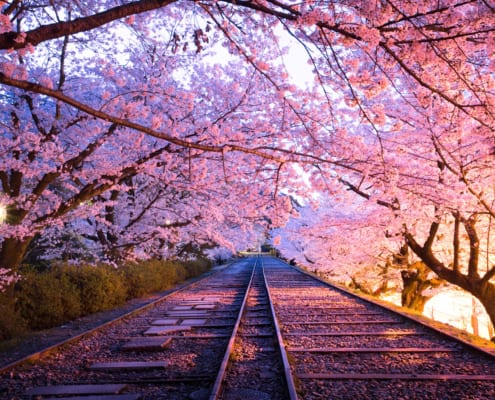 Le Sagano Romantic Train de Kyoto