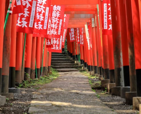 Allée de torii, sanctuaire Maruyama Inari