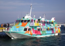 Ferry îles de Tokyo