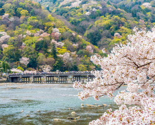 Arashiyama en rose et vert